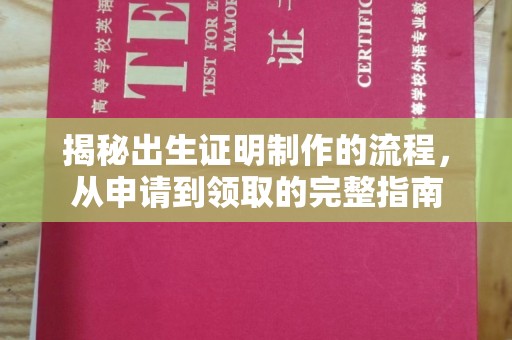 沈河揭秘出生证明制作的流程，从申请到领取的完整指南