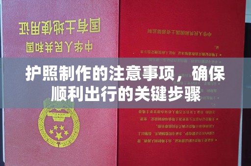 沈河护照制作的注意事项，确保顺利出行的关键步骤