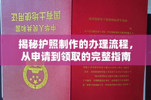 沈河揭秘护照制作的办理流程，从申请到领取的完整指南