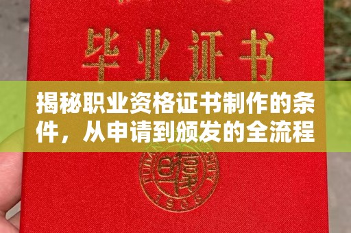 沈河揭秘职业资格证书制作的条件，从申请到颁发的全流程解析