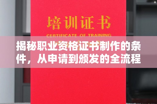 沈河揭秘职业资格证书制作的条件，从申请到颁发的全流程解析