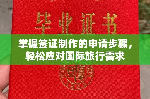 沈河掌握签证制作的申请步骤，轻松应对国际旅行需求
