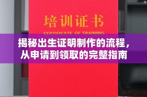 沈河揭秘出生证明制作的流程，从申请到领取的完整指南