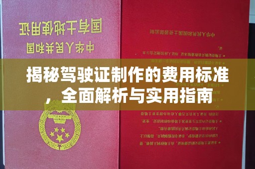 沈河揭秘驾驶证制作的费用标准，全面解析与实用指南