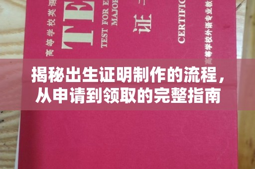 沈河揭秘出生证明制作的流程，从申请到领取的完整指南