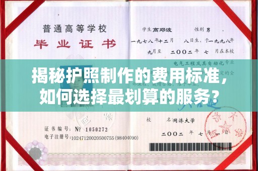 沈河揭秘护照制作的费用标准，如何选择最划算的服务？