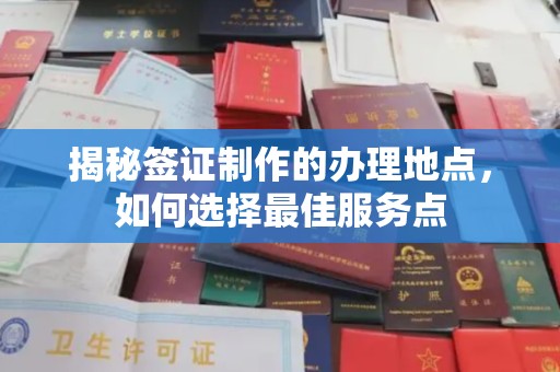 沈河揭秘签证制作的办理地点，如何选择最佳服务点