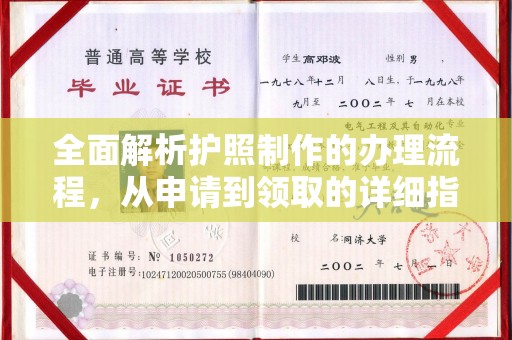 沈河全面解析护照制作的办理流程，从申请到领取的详细指南