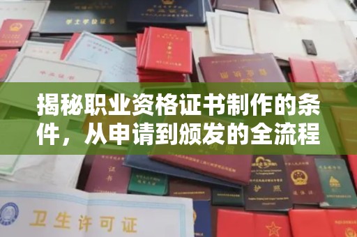 沈河揭秘职业资格证书制作的条件，从申请到颁发的全流程解析
