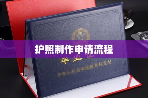 沈河护照制作申请流程