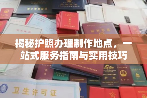 沈河揭秘护照办理制作地点，一站式服务指南与实用技巧
