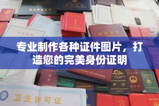 沈河专业制作各种证件图片，打造您的完美身份证明