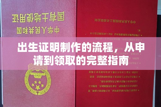 沈河出生证明制作的流程，从申请到领取的完整指南