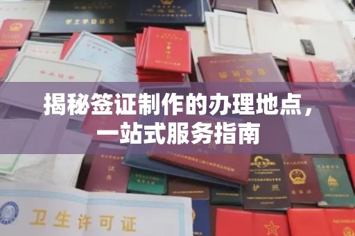 沈河揭秘签证制作的办理地点，一站式服务指南