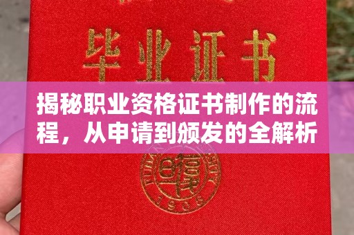 沈河揭秘职业资格证书制作的流程，从申请到颁发的全解析