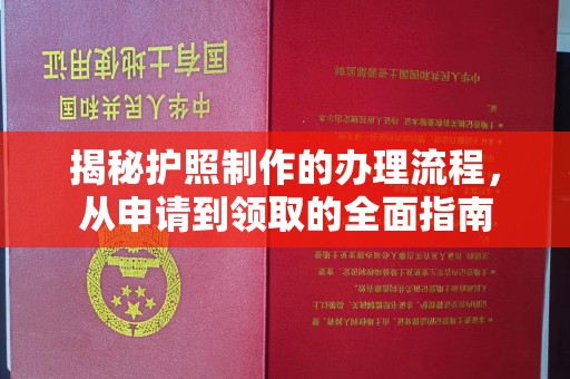 沈河揭秘护照制作的办理流程，从申请到领取的全面指南