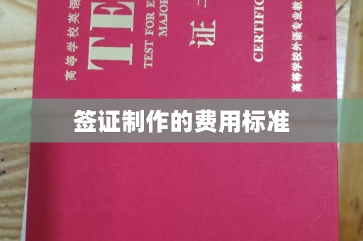 沈河签证制作的费用标准