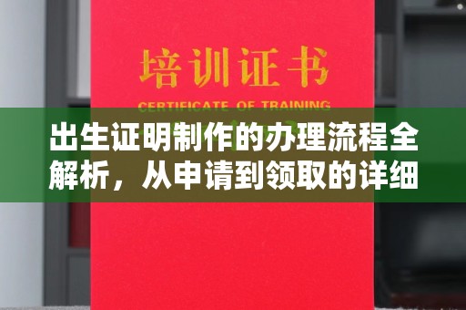 沈河出生证明制作的办理流程全解析，从申请到领取的详细指南