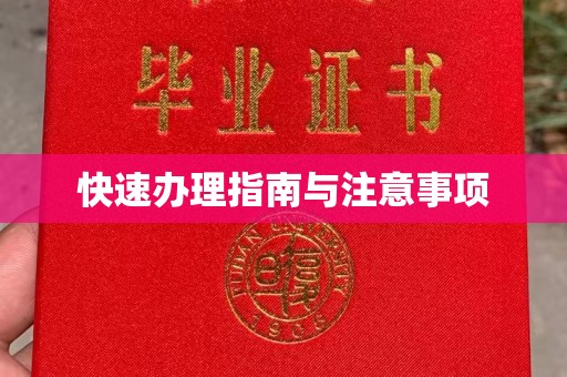 沈河快速办理指南与注意事项